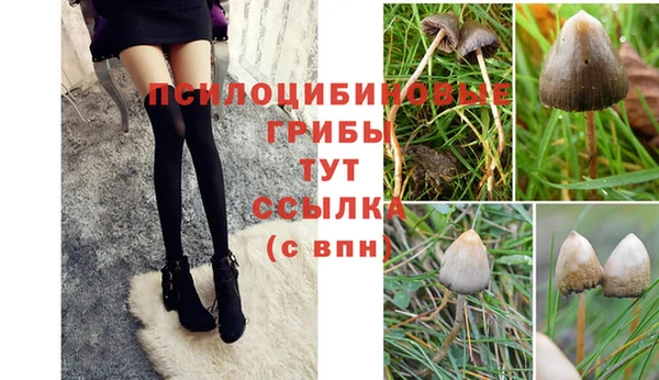 spice Ладушкин
