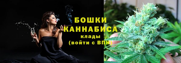 spice Ладушкин