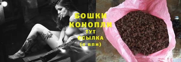 дживик Лагань