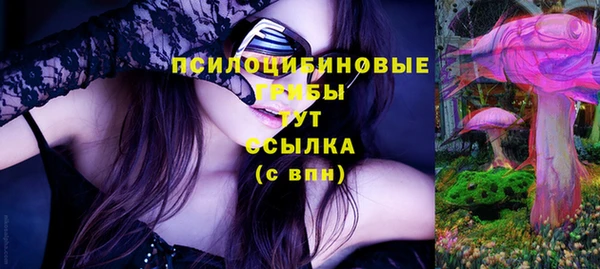 дживик Лагань