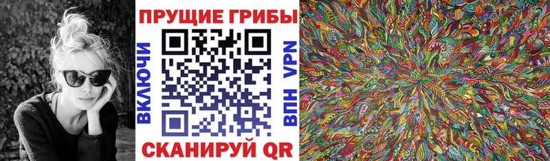 Галлюциногенные грибы Cubensis  Балашиха 
