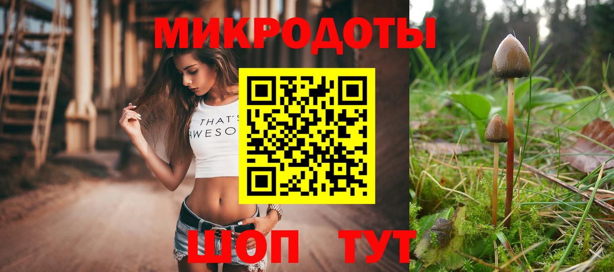 Галлюциногенные грибы Cubensis Балашиха